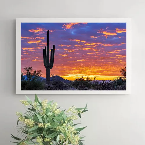 Vista 3 de QAZWSX Pintura de diamantes de cactus solitario con fondo brillante del amanecer del desierto en Arizona para adultos, kit de pintura de diamantes