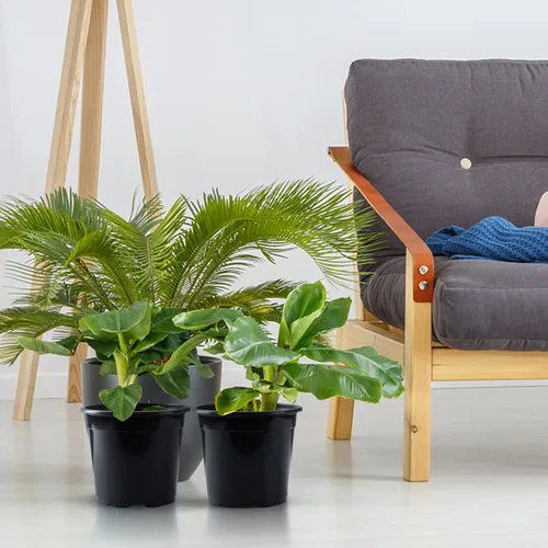 Vista 5 de Oubest Paquete variado de 50 macetas de plástico para plantas, varios tamaños, macetas de plántulas con agujeros de drenaje, macetas para interiores