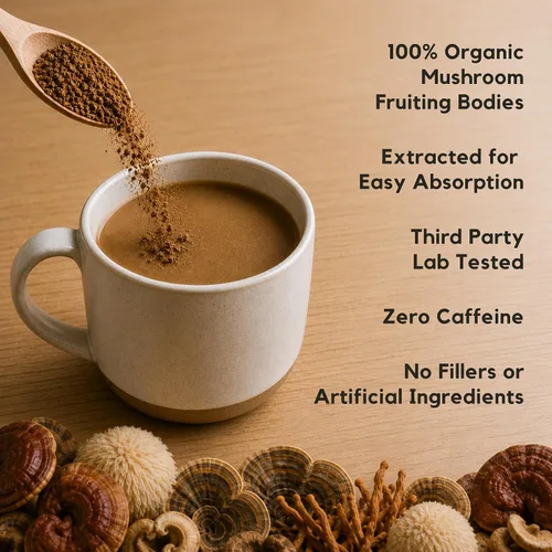 Vista 4 de Polvo de extracto de Chaga de Malama, polvo de hongos Chaga orgánico fructífero, superalimento adaptogénico, apoya el sistema inmunológico, la salud
