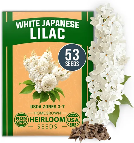 Vista 2 de HOME GROWN Flower Seed Trio - Más de 430 semillas de Estados Unidos sin OMG Lila blanca japonesa, calabazas Luffa y Gloria de la mañana Alta
