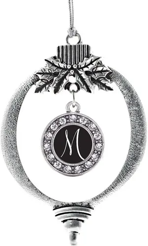 Vista 250 de Inspired Silver - Adorno de cromosoma 21 con dije de círculo de plata con joyas de circonita cúbica