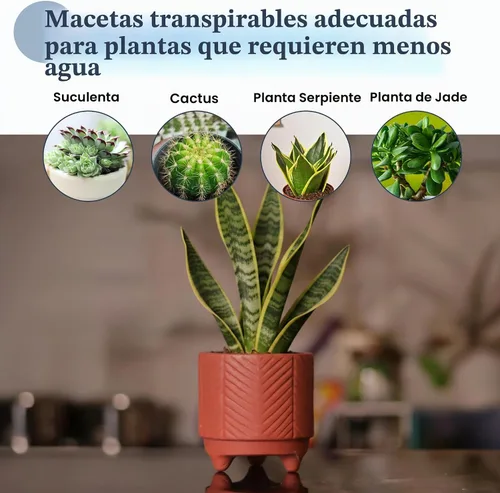 Vista 5 de Fine Living Maceta de terracota de 4 pulgadas con patrón de cheurón para Marrón - Chevro
