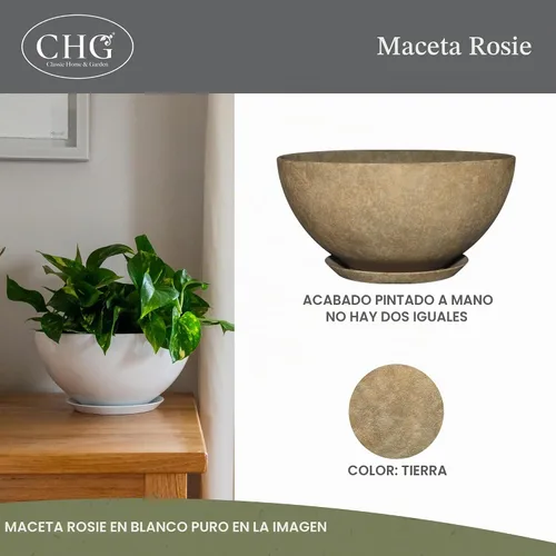 Vista 2 de GROWSCAPE Rosie Planter Bowl, with Drainage and Saucer, 10” Earth TIERRA