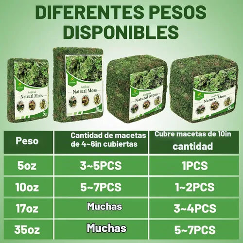 Vista 6 de Musgo verde natural de 10 onzas para plantas de interior, musgo real de bosque seco para manualidades, jardines de hadas artificiales, mosswall