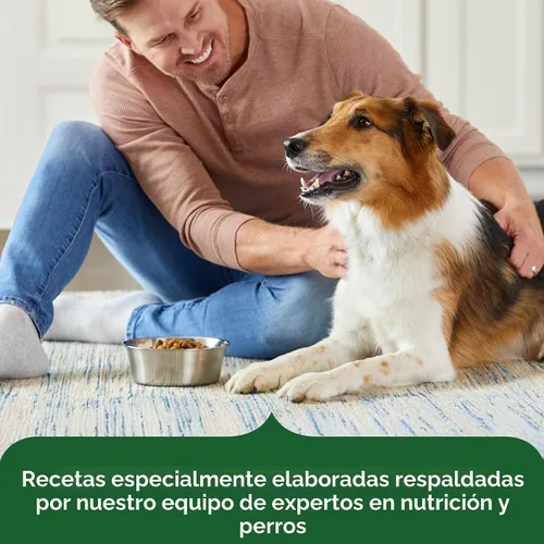 Vista 6 de Nutrish Rachael Ray - Comida seca para perros adultos, receta de pollo y verduras reales, bolsa de 5 libras