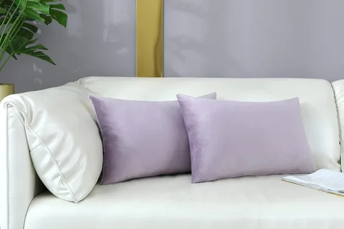Vista 41 de mixeoo Comfy - Juego de 2 fundas de almohada decorativas de terciopelo grueso sólido y grueso, súper suaves, decoración del hogar para sofá, sala