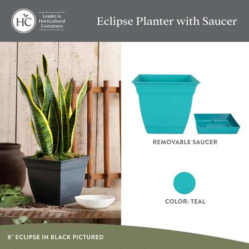 Vista 13 de The HC Companies, Eclipse - Maceta cuadrada de 12 pulgadas, con platillo, maceta para sembrar flores, verduras y hierbas en interiores y exteriores