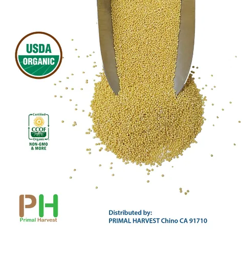 Vista 3 de Mijo orgánico cultivado en Estados Unidos, semillas de grano entero sin OMG descascarillado sin gluten crudo a granel