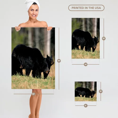 Vista 6 de 3dRose Black Bear Female with Two Cubs, Great Smoky Mountains National Park 22x30 Bath Hand Pool Towel