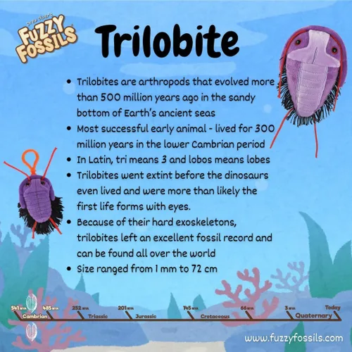 Vista 3 de GIANT MICROBES Fuzzy Fossils Trilobite Plush - Aprende sobre fósiles y criaturas prehistóricas, regalo único para familiares, amigos, científicos