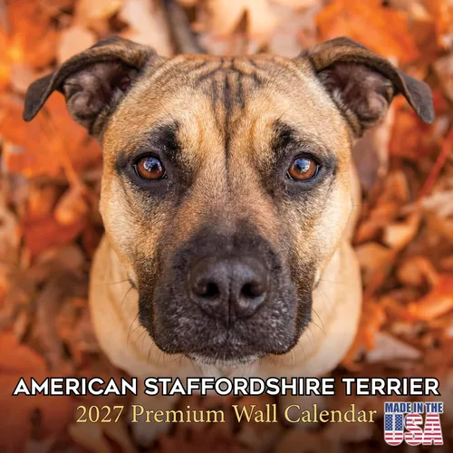 Vista 181 de Calendario de Lebrel Afgano 2025 2026, calendario mensual de pared de raza canina, 12" x 18" abierto, papel grueso sin traspaso, ideal para regalo