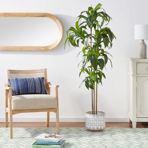 Vista 6 de Nearly Natural Planta de seda Dracaena de 6 pies (tacto real)