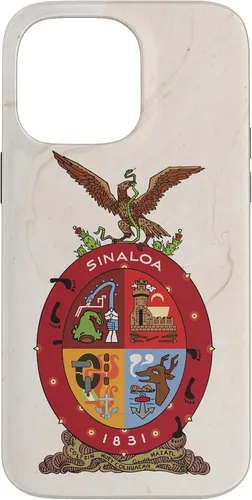 Vista 21 de iPhone 16 Bandera de Sinaloa y fondo elegante - Funda Sinaloense Pride