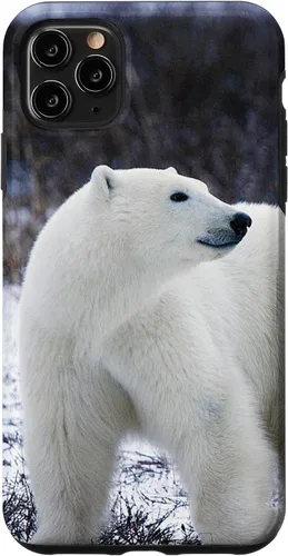 Vista 13 de Polar Bears Animal Nature Case for iPhone 17