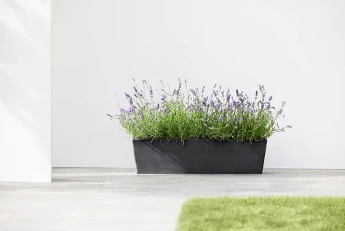 Vista 3 de Ecopots Bruges - Maceta compuesta rectangular moderna y duradera para interiores y exteriores, a base de reciclaje, color gris oscuro, 17.75 pulgadas