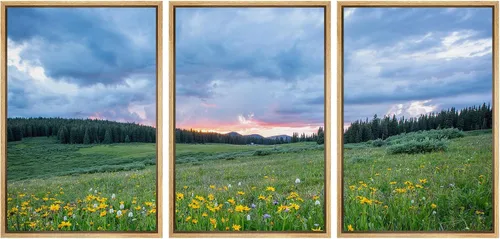 Vista 65 de wall26 Lienzo enmarcado para pared, juego de arte de selva, rana, hoja de palmera, naturaleza, desierto, arte moderno, realismo, decorativo