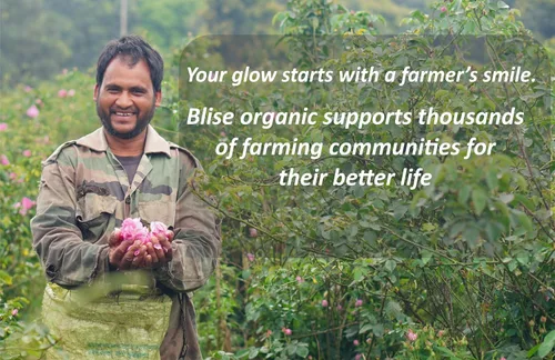 Vista 6 de Blise organic Agua de rosas 100% pura, natural y orgánica, libre de conservantes, destilada al vapor de los mejores pétalos de rosa, sin alcohol