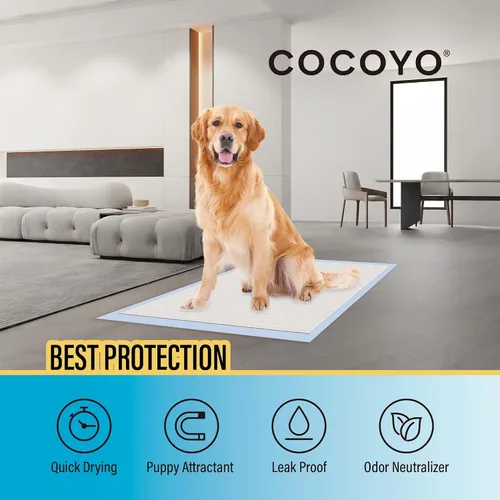 Vista 3 de COCOYO Almohadillas de entrenamiento de mejor valor, 22 x 22 pulgadas, 100