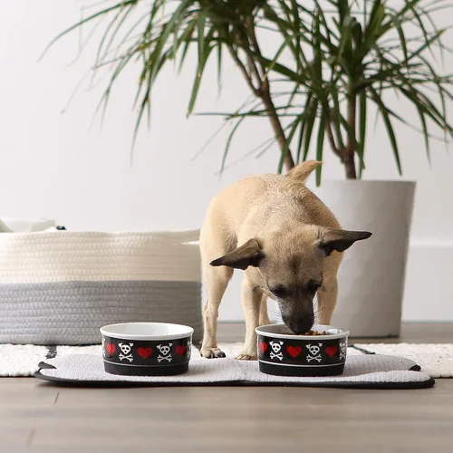 Vista 5 de Bone Dry Cuencos de cerámica para alimentos y agua para mascotas antideslizantes para una alimentación segura, menos desordenada, aptos