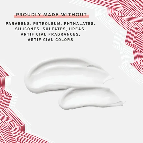 Vista 5 de MyChelle Dermaceuticals Pumpkin Renew Cream (1.2 onzas líquidas) – Hidratante facial diario con aceite de semilla de calabaza, extracto de arándanos