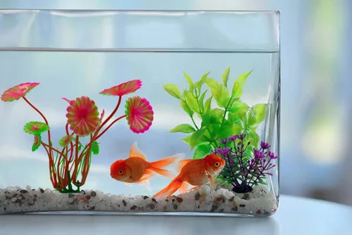 Vista 5 de Accesorios de decoración de plantas de acuario de plástico, planta de decoración de peceras artificiales, 10