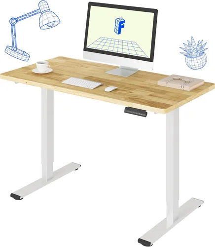 Vista 52 de FLEXISPOT Escritorio eléctrico de pie E3 con motor doble, 48 x 24