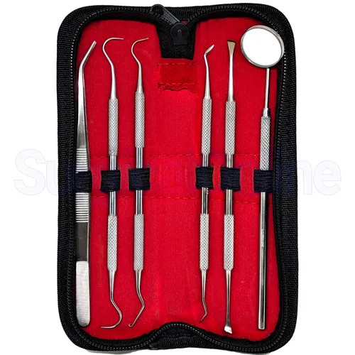 Vista 2 de SURGICAL ONLINE Kit de herramientas dentales profesionales, kit de limpieza de dientes, kit de cuidado bucal para púas de dientes, espejo dental