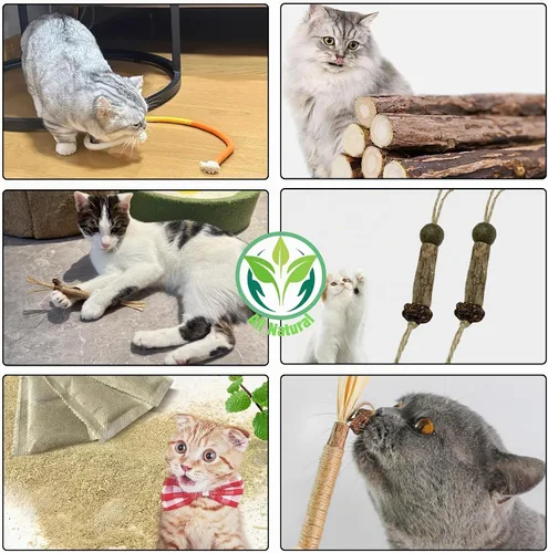 Vista 2 de Juguetes masticables para gatos, palos de Silvervine para gatos, cuerda de limpieza de dientes, cuidado dental de dentición de gatitos, gatito