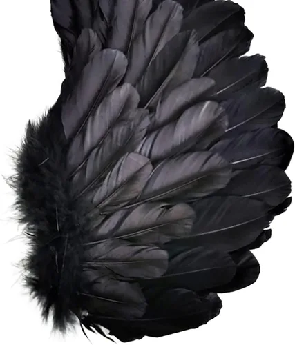 Vista 3 de SzJias Black Wings Angel Devil Fallen Feather Wings para niños Halloween