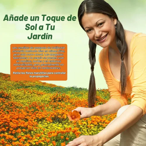 Vista 6 de Outsidepride Semilla de amapola de California - 1/4 LB