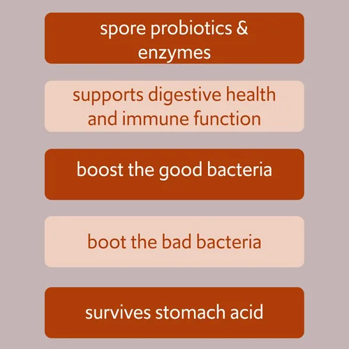 Vista 5 de Bacillus B3 Probiótico a base de esporas + enzimas para la salud intestinal y el apoyo del microbioma, probiótico diario estable con Bacillus