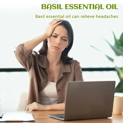 Vista 2 de EVOKE OCCU Aceite esencial de albahaca para difusor de masaje de piel y fabricación de velas, 4 onzas líquidas Aroma fresco y herbáceo para hacer