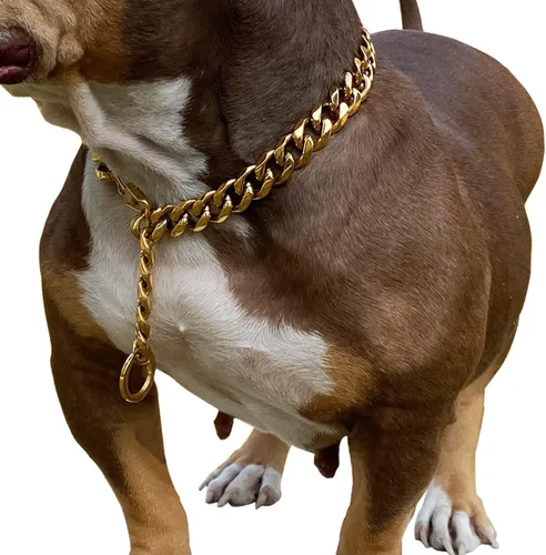 Vista 10 de Cierres de langosta fuertes ajustables para perros, collar de titanio, para entrenamiento, caminar, de metal, a prueba de masticación, para perros