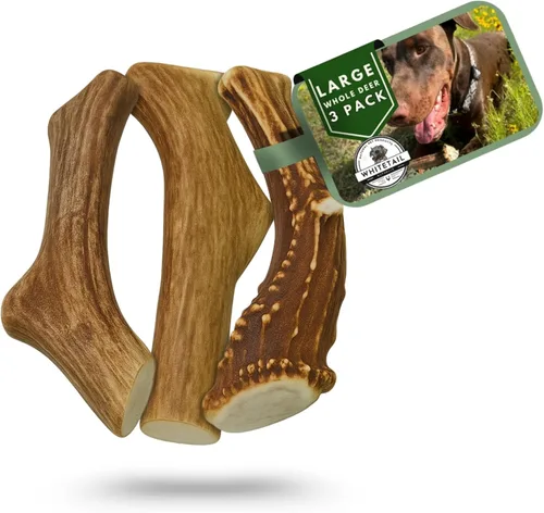 Vista 13 de WhiteTail Naturals - Cuernos de ciervo para perros pequeños (paquete de 12) cuernos masticables naturales para cachorros y pequeños masticadores