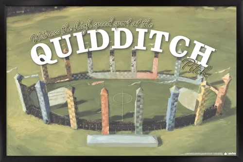 Vista 8 de Trends International El mundo mágico: Harry Potter - Póster de pared de Quidditch de testigo Versión con marco de bronce