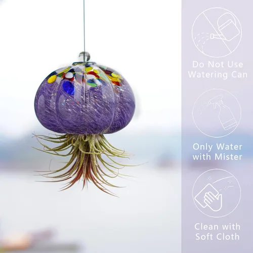 Vista 4 de H&D HYALINE & DORA Terrario de cristal soplado a mano colgante con diseño de medusa de aire para plantas de aire, decoración para jardín, porche