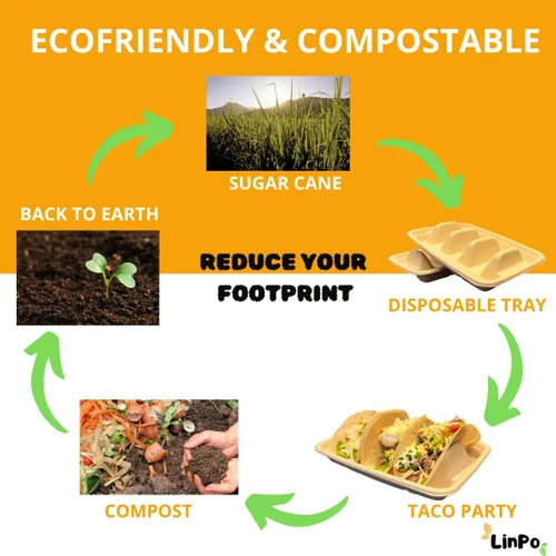 Vista 5 de Soporte desechable para tacos - Paquete de 25 platos biodegradables para tacos, kit de tacos, suministros para fiestas de tacos, bandeja de tacos