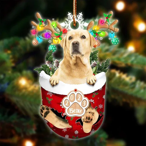Vista 128 de NAZENTI Adorno Navideño de Bolsillo Personalizado de Affenpinscher en la Nieve, Adorno de Forma Acrílica de Perro, Adorno de Navidad 2023, Adorno