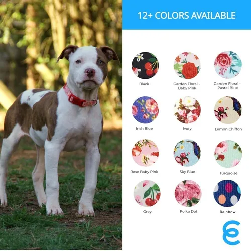 Vista 5 de Blueberry Pet 10+ Patrones Primavera Aroma Floral Collares, Collares Personalizados