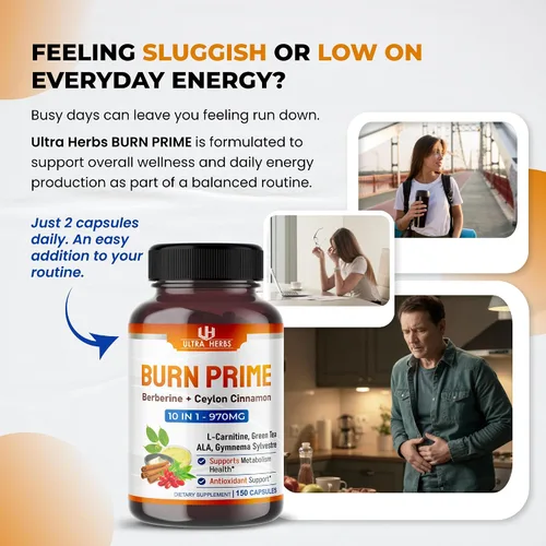 Vista 2 de Ultra Burn Prime 1730 mg - 10 en 1 con berberina, canela de Ceilán, L-carnitina, ALA, té verde y gimnasia, apoya el metabolismo, la energía