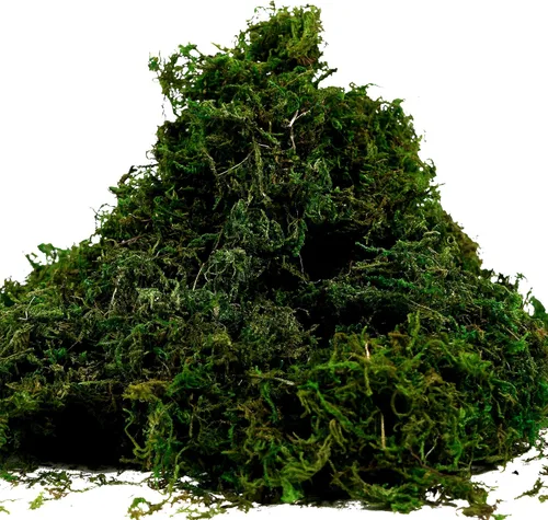 Vista 4 de Hierba artificial de musgo verde falsa para centros de mesa, decoración del hogar, la cocina y el jardín (3.5OZ, fresca)