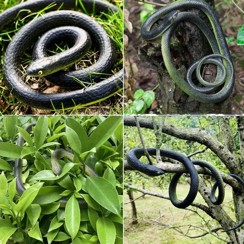 Vista 3 de 6 piezas de serpientes de goma grandes realistas de plástico falso, juguetes de serpiente para mantener a los pájaros alejados para accesorios