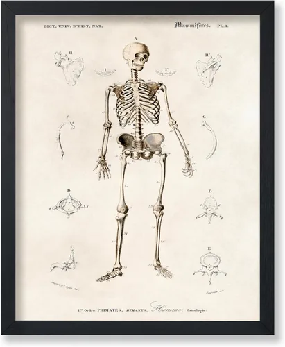 Vista 7 de Poster Master Póster de fotografía vintage, impresión gótica retro, regalo para artista, amigo, Halloween, familia espeluznante, disfraz extraño