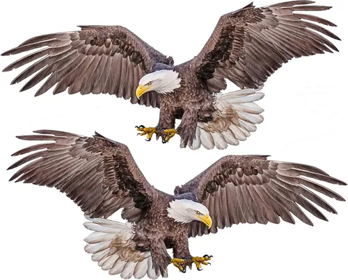 Vista 7 de Paquete de 2 calcomanías de vinilo de águila calva – Eagle About to Catch Prey Motion – Calcomanías de vinilo para automóvil, camión, motocicleta