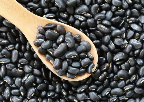 Vista 4 de Food to Live Frijoles de tortuga negra, 8 onzas de frijoles secos enteros, germinables, veganos, kosher, a granel. Bajo en sodio. Gran fuente