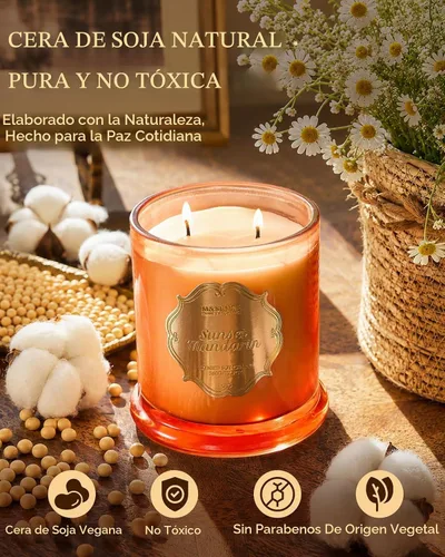 Vista 3 de M&SENSE Velas de Cítricos para el Hogar Aromáticas, Vela de Soja Orgánica Natural de 12.7oz 75 Horas de Larga Duración de Combustión Lenta, Vela