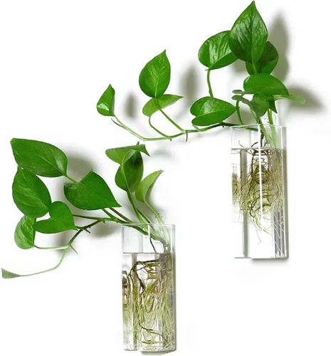 Vista 6 de Kingbuy Maceta de cristal para colgar en la pared, florero, estación de propagación de plantas hidropónicas, decoración de jardín, oficina en casa