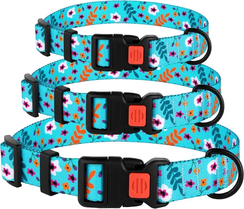 Vista 4 de Collar de perro de nailon con patrón floral aguamarina de 12 a 16 pulgadas