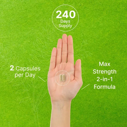 Vista 5 de Extracto de Tongkat Ali 300:1 con hierba de cabra cachonda 1,100 mg - Raíz de longifolia de Eurycoma Longjack Indonesia - Suplemento herbario extra