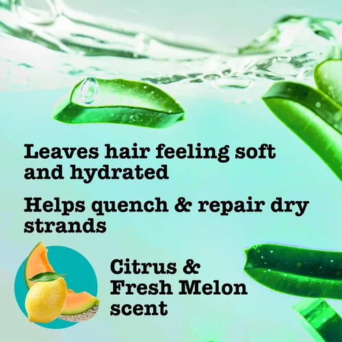 Vista 5 de Maui Moisture Heal & Hydrate + Shea Butter - Champú para reparar e hidratar profundamente el cabello rígido y rizado con aceites de coco y macademia.